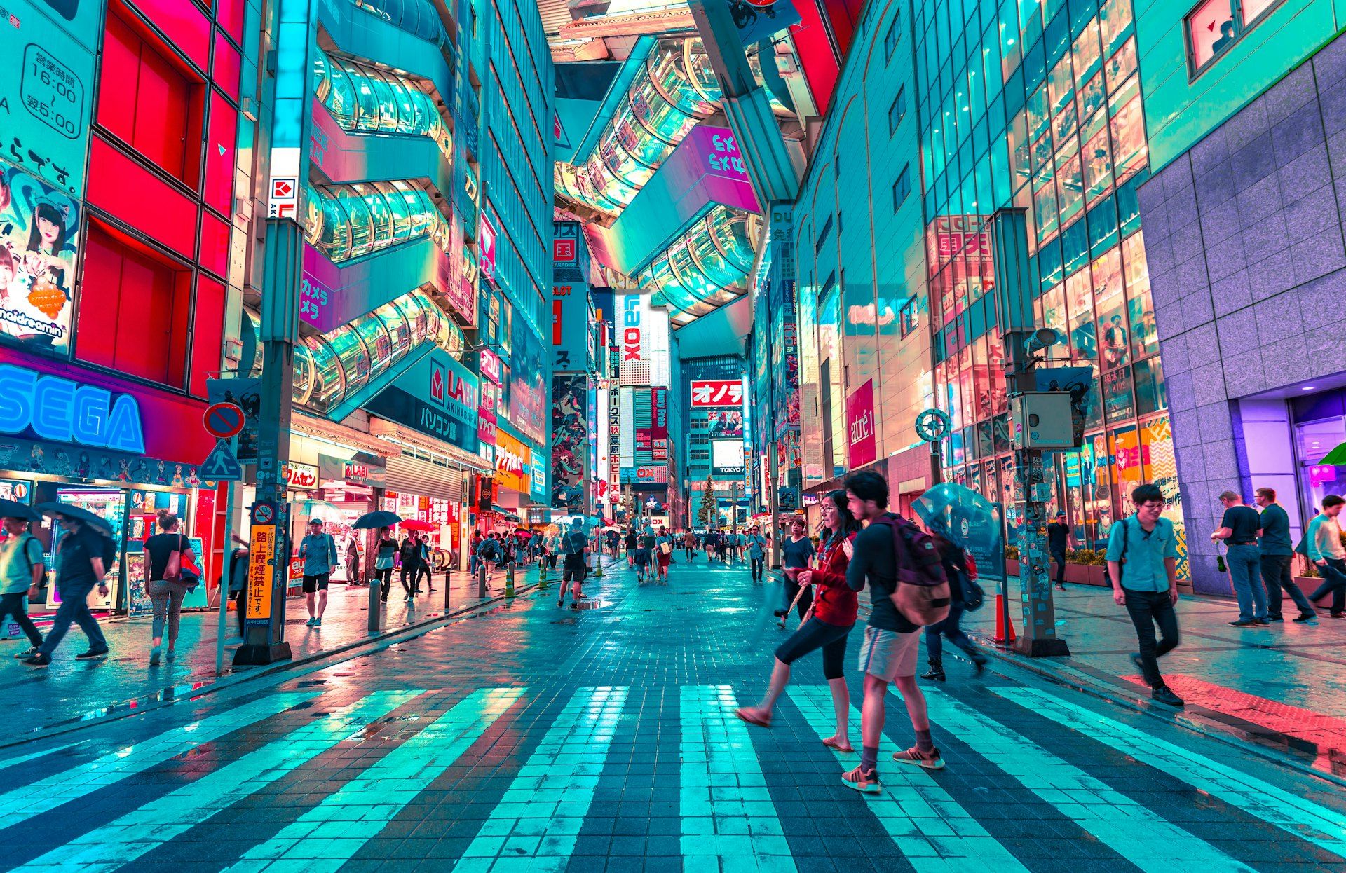 都市の夜景
